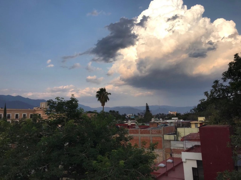 a view of a city next to a tree